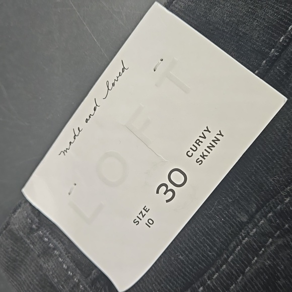 Ann Taylor LOFT Fall Pants Bundle (2) Size 10 - Picture 6 of 11